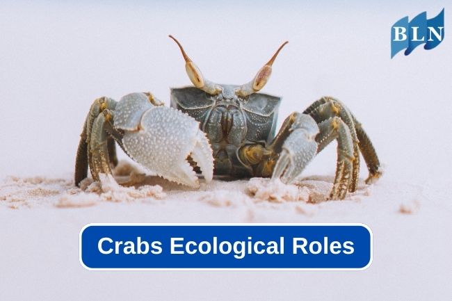The Crucial Ecological Roles of Crabs